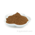 CAS d&#39;acide tannique de qualité alimentaire de haute qualité 1401-55-4